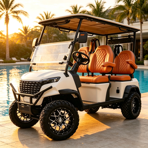 High End 4 Seater Electric Resort Shuttle Vehicle