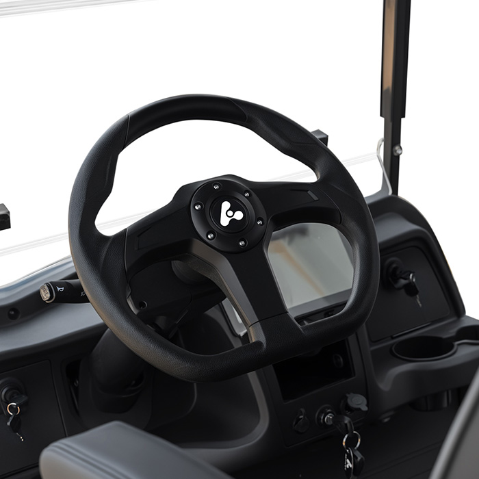 Sport steering wheel and dashboard interface