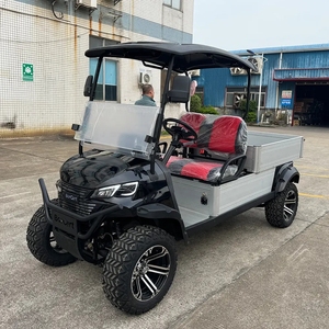 Luxury Electric Cargo Utility Cart 2 Seater