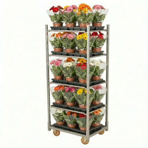 Half DC Cart 500kg Enclosed Steel Frame Hand Trolley